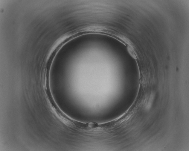 X0000066011131200603061251