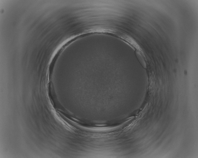 X0000066011132200603061251