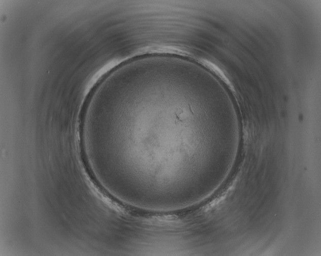 X0000066011133200603061251