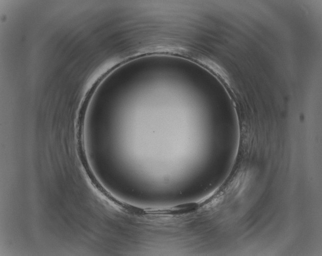 X0000066011135200603061251