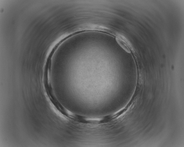 X0000066011136200603061251