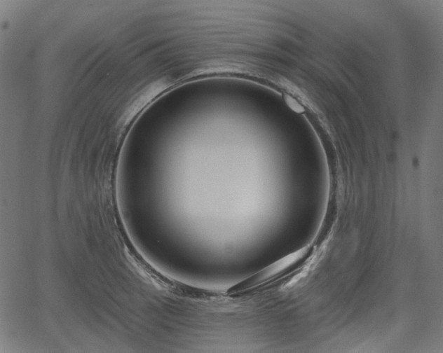 X0000066011137200603061251