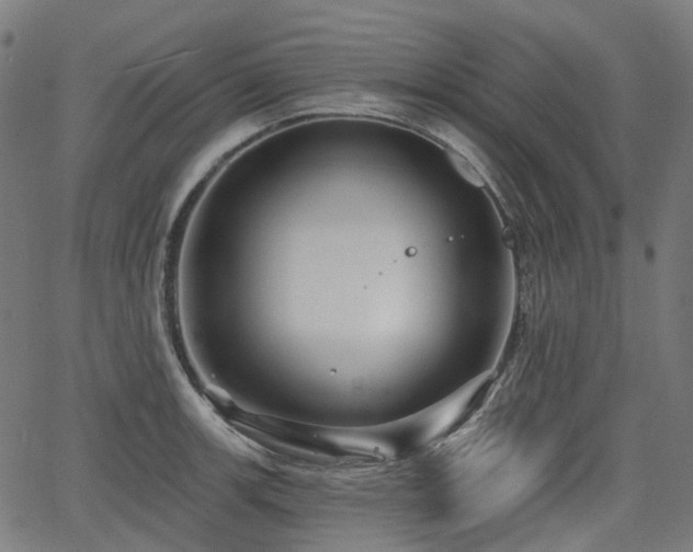 X0000066011139200603061251