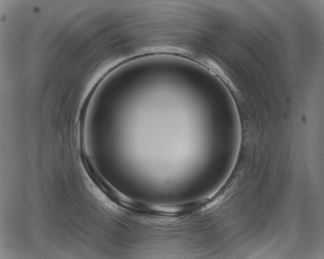 X0000066011140200603061251