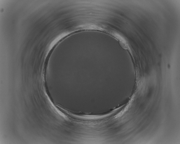 X0000066011141200603061251