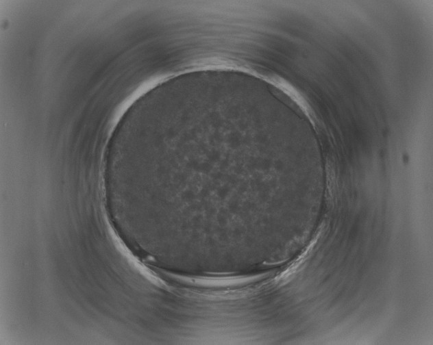 X0000066011142200603061251