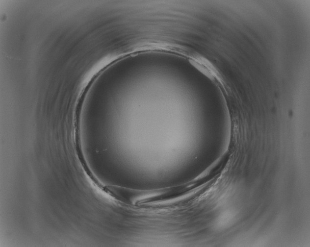 X0000066011143200603061251