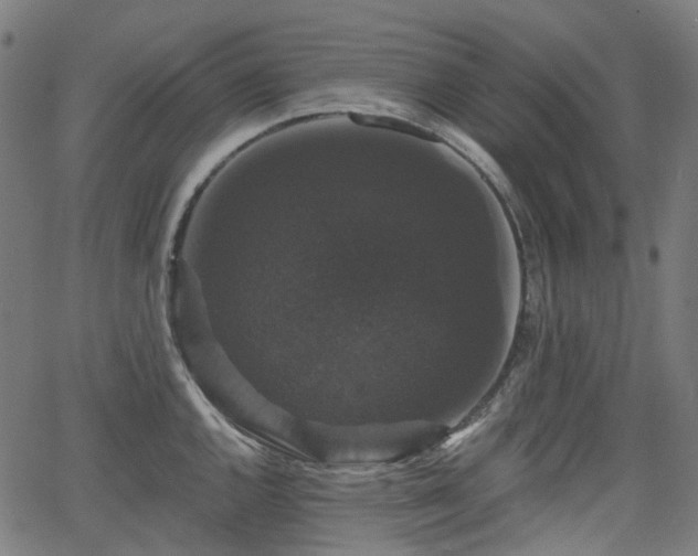 X0000066011144200603061251