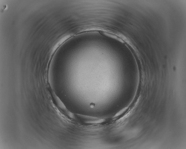 X0000066011145200603061251