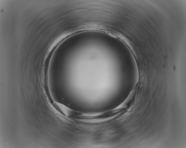 X0000066011147200603061251