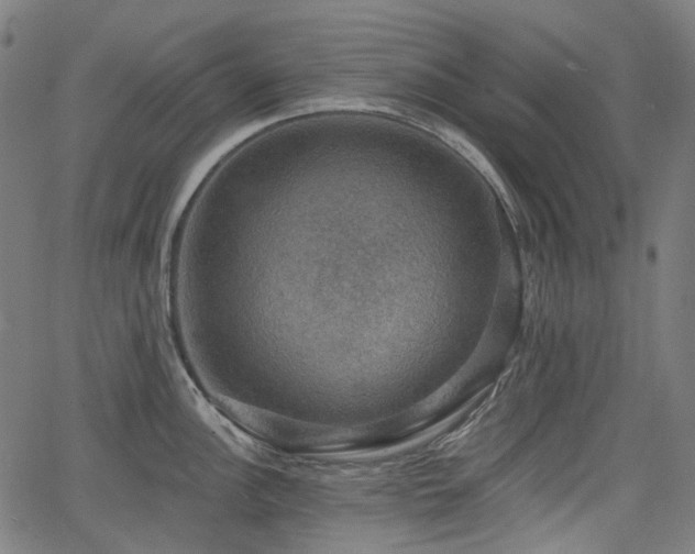 X0000066011148200603061251