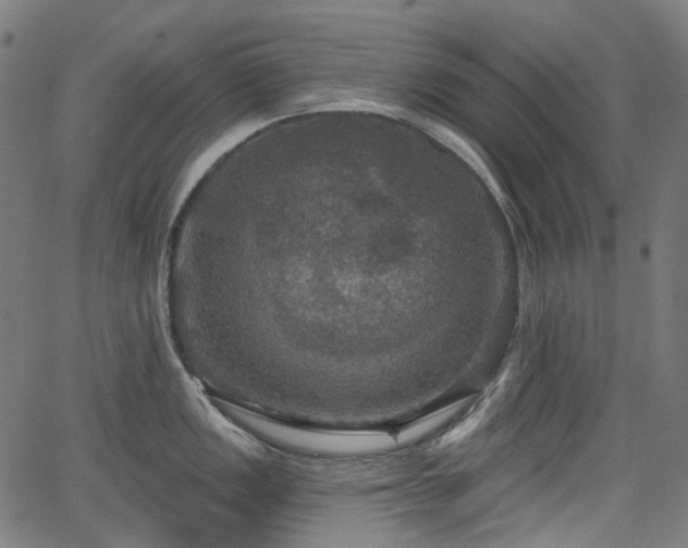 X0000066011149200603061251