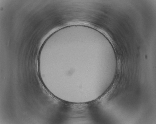 X0000066011150200603061251