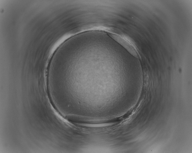 X0000066011151200603061251