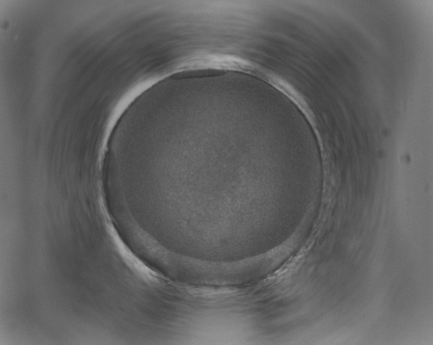 X0000066011152200603061251