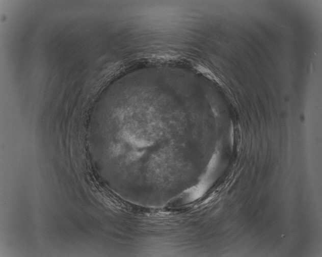 X0000066011153200603061250