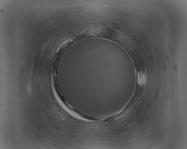 X0000066011155200603061250