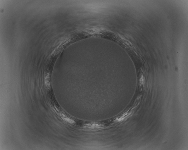 X0000066011156200603061250