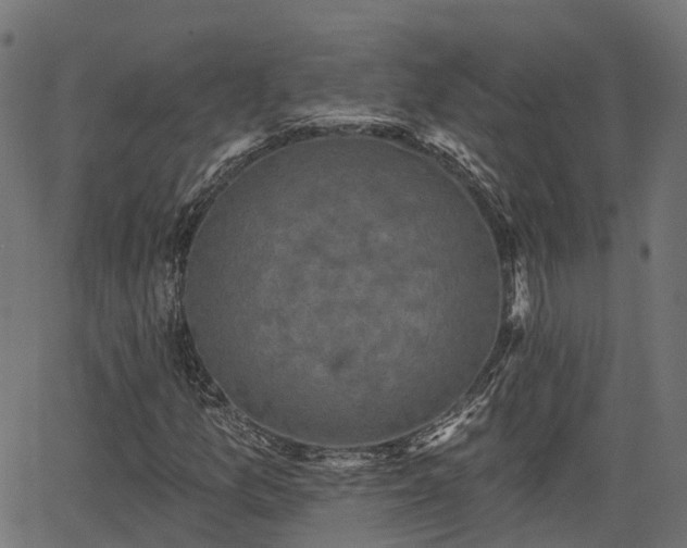 X0000066011157200603061250