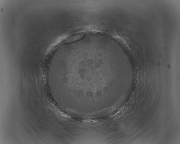 X0000066011159200603061250