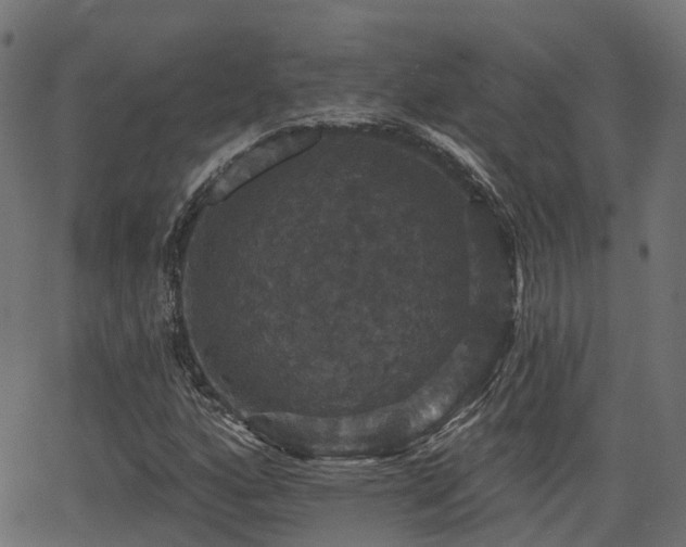 X0000066011160200603061250