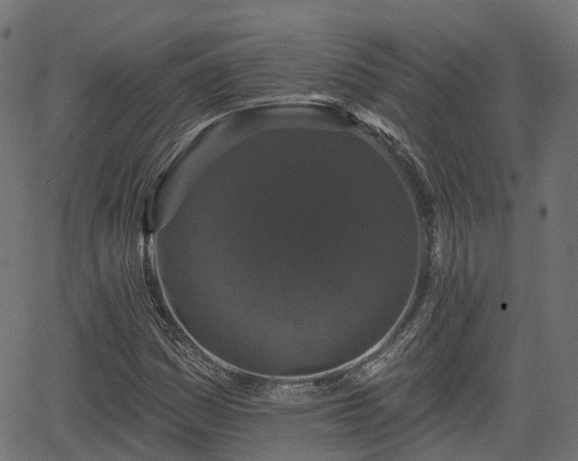 X0000066011161200603061250