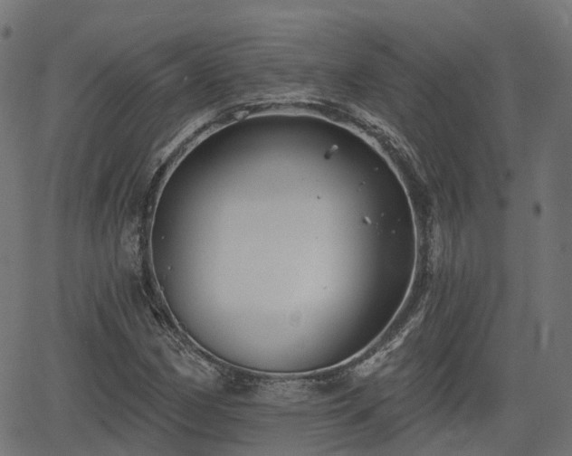 X0000066011162200603061250