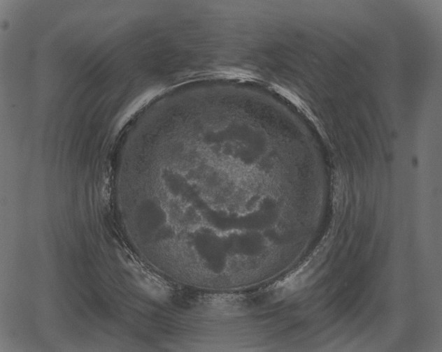 X0000066011163200603061250