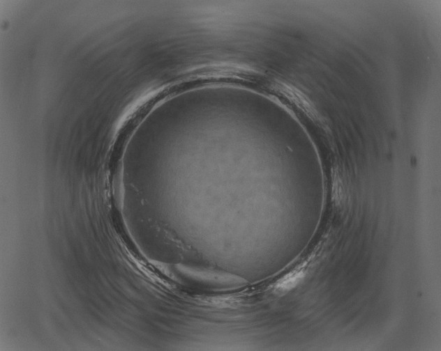 X0000066011164200603061250