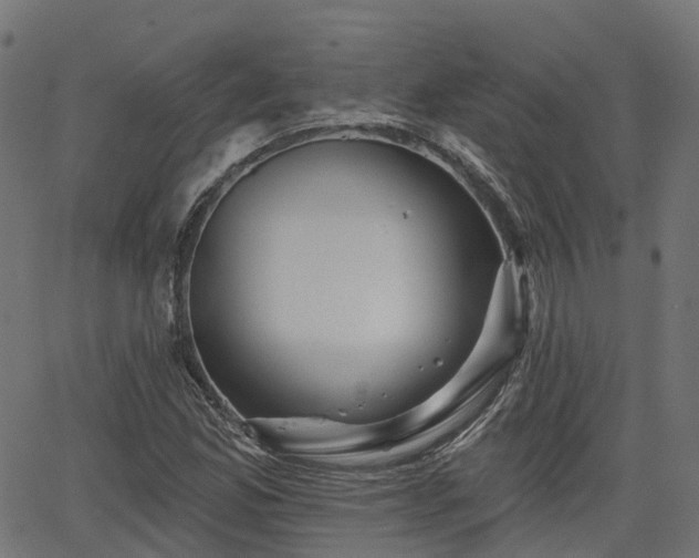 X0000066011165200603061250