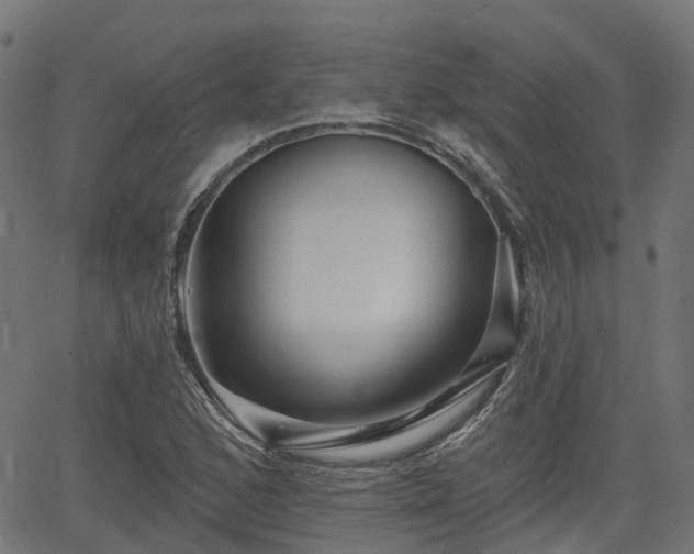 X0000066011168200603061250