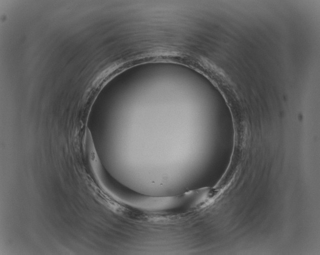 X0000066011169200603061250