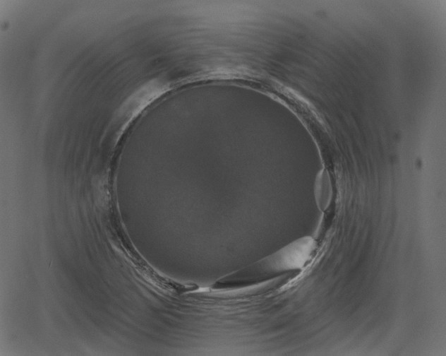 X0000066011170200603061250