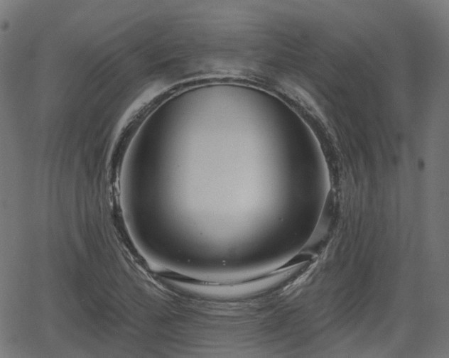 X0000066011172200603061250