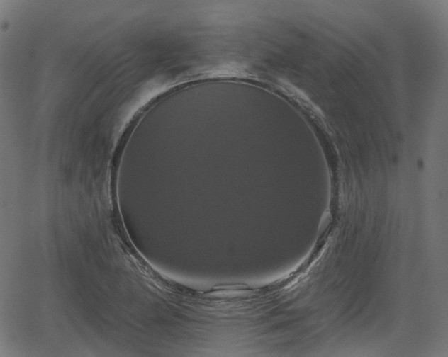 X0000066011174200603061250