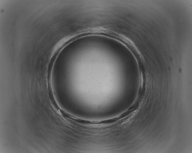 X0000066011176200603061250