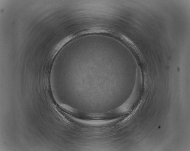 X0000066011177200603061250