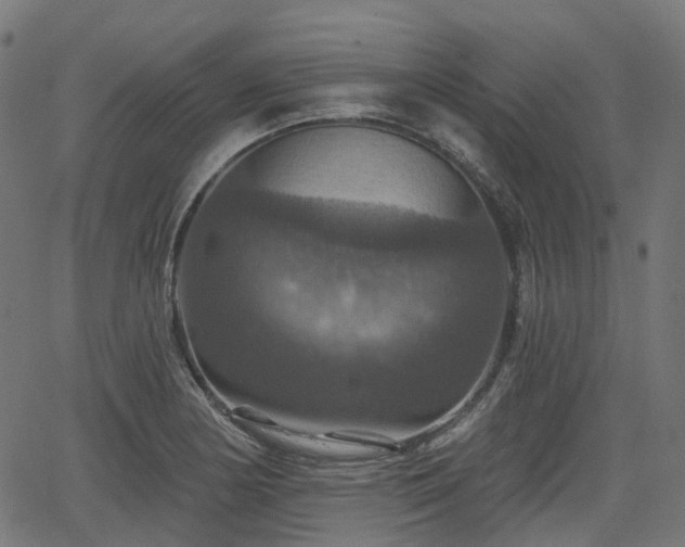 X0000066011178200603061250