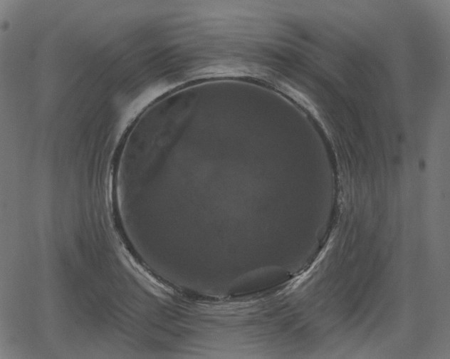 X0000066011179200603061250