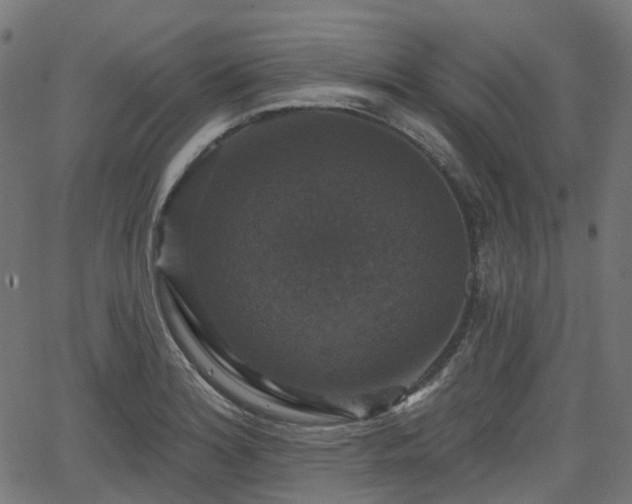 X0000066011180200603061250