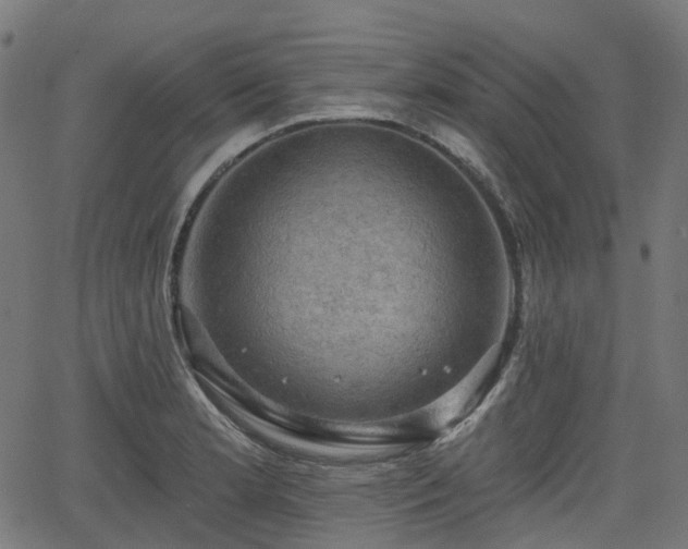 X0000066011181200603061250