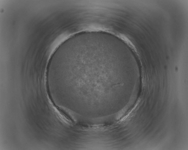 X0000066011183200603061250