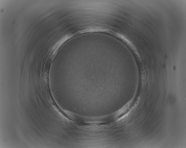 X0000066011185200603061250