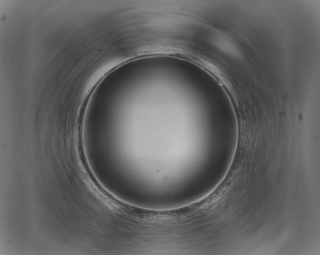 X0000066011187200603061250