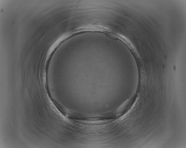 X0000066011188200603061250