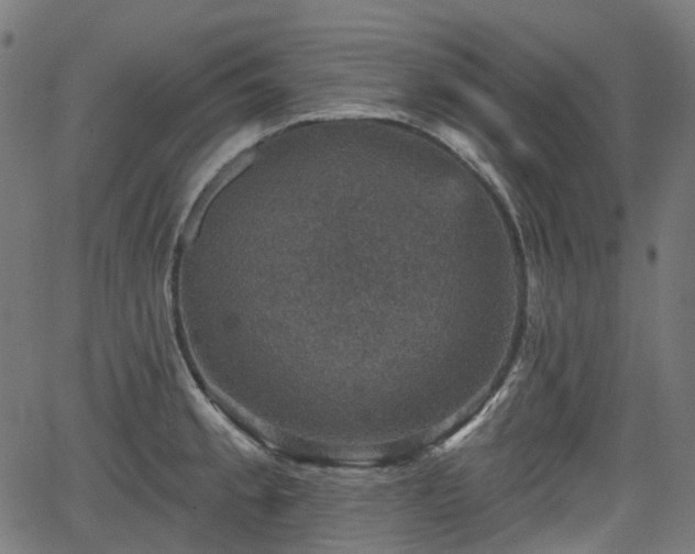 X0000066011189200603061250