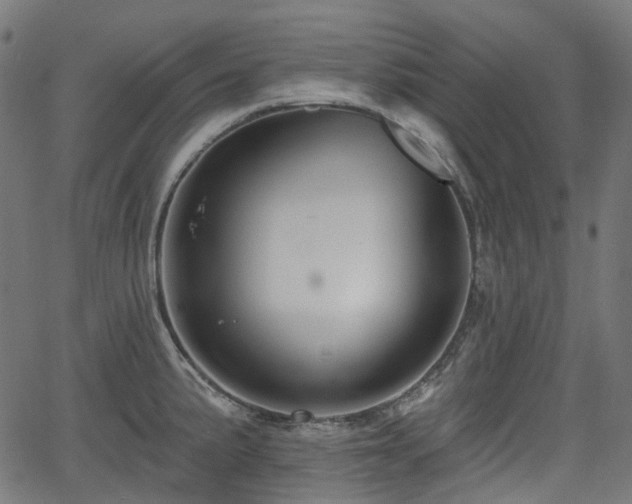 X0000066011191200603061249