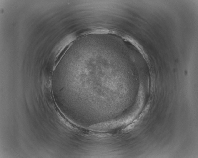 X0000066011193200603061249