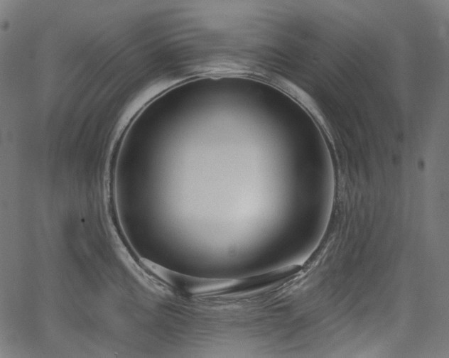 X0000066011195200603061249