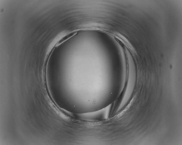 X0000066011196200603061249